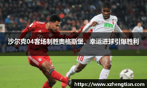沙尔克04客场制胜奥格斯堡，幸运进球引爆胜利